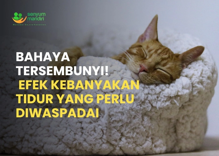 efek kebanyakan tidur