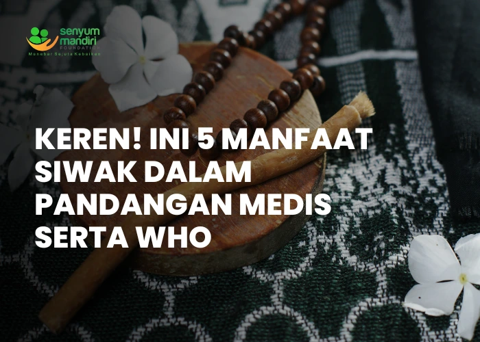 Manfaat Siwak