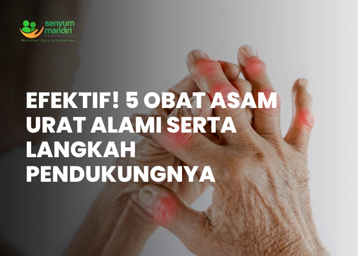 Obat Asam Urat Alami