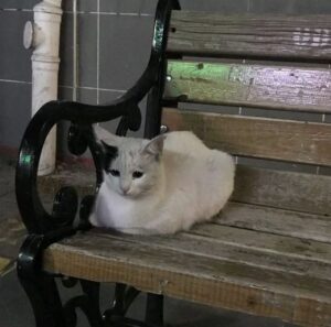 Memikirkan ulang tentang kehidupan kita sehari-hari.