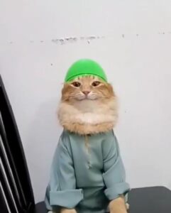 Memikirkan ulang tentang kehidupan kita sehari-hari.