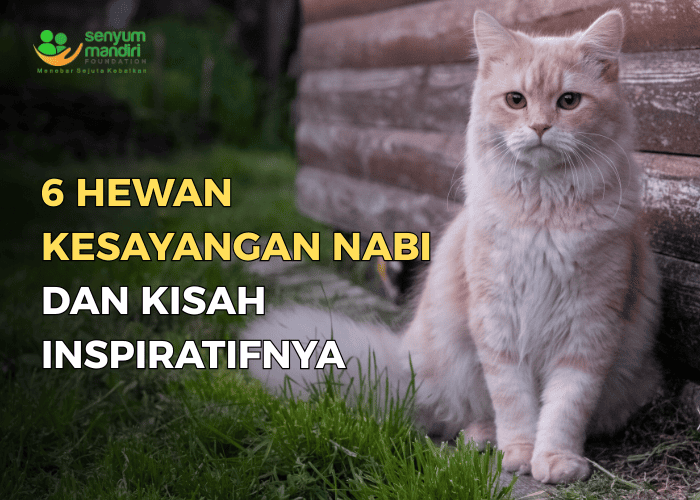 hewan kesayangan nabi