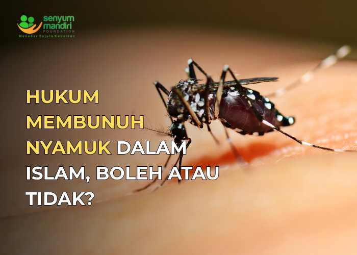 hukum membunuh nyamuk