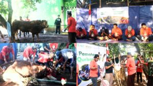 senyum qurban 1447 H