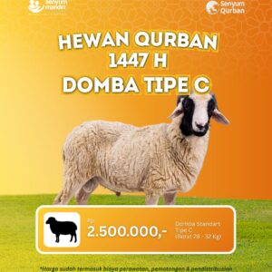 HARGA HEWAN QURBAN 1447 H DOMBA MURAH