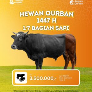 HARGA HEWAN QURBAN 1447 H SAPI MURAH
